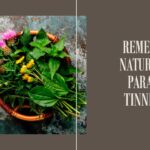 remedios naturales efectivos para combatir el tinnitus