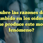 Descubre las razones detrás del zumbido en los oídos: ¿Por qué se produce este molesto fenómeno?