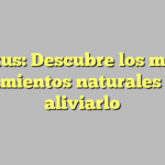 Tinnitus: Descubre los mejores tratamientos naturales para aliviarlo