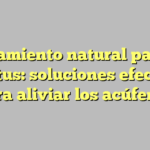 Tratamiento natural para el tinnitus: soluciones efectivas para aliviar los acúfenos