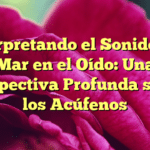 Interpretando el Sonido del Mar en el Oído: Una Perspectiva Profunda sobre los Acúfenos