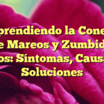 Comprendiendo la Conexión entre Mareos y Zumbido de Oídos: Síntomas, Causas y Soluciones