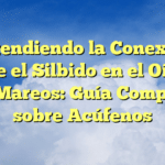 Entendiendo la Conexión entre el Silbido en el Oído y los Mareos: Guía Completa sobre Acúfenos