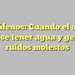 Acúfenos: Cuando el oído parece tener agua y genera ruidos molestos