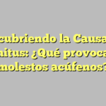 Descubriendo la Causa del Tinnitus: ¿Qué provoca los molestos acúfenos?