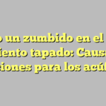 Siento un zumbido en el oído y lo siento tapado: Causas y soluciones para los acúfenos