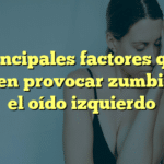 Principales factores que pueden provocar zumbido en el oído izquierdo