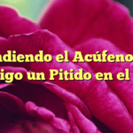 Entendiendo el Acúfeno: ¿Por qué Oigo un Pitido en el Oído?