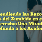 Entendiendo las Razones Detrás del Zumbido en el Oído Derecho: Una Mirada Profunda a los Acúfenos
