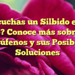 ¿Escuchas un Silbido en tu Oído? Conoce más sobre los Acúfenos y sus Posibles Soluciones