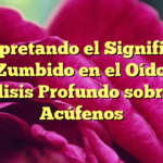 Interpretando el Significado del Zumbido en el Oído: Un Análisis Profundo sobre los Acúfenos