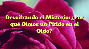 Descifrando el Misterio: ¿Por qué Oímos un Pitido en el Oído?
