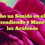 Escucho un Sonido en el Oído: Comprendiendo y Manejando los Acúfenos