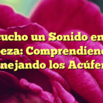 Escucho un Sonido en mi Cabeza: Comprendiendo y Manejando los Acúfenos