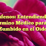 Acúfenos: Entendiendo el Término Médico para el Zumbido en el Oído