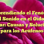 Comprendiendo el Fenómeno del Sonido en el Oído al Tragar: Causas y Soluciones para los Acúfenos