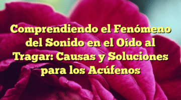 Comprendiendo el Fenómeno del Sonido en el Oído al Tragar: Causas y Soluciones para los Acúfenos