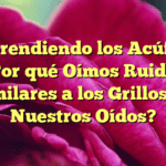 Comprendiendo los Acúfenos: ¿Por qué Oímos Ruidos Similares a los Grillos en Nuestros Oídos?