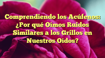 Comprendiendo los Acúfenos: ¿Por qué Oímos Ruidos Similares a los Grillos en Nuestros Oídos?