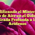 Decodificando el Misterio del Ruido de Aire en el Oído: Una Mirada Profunda a los Acúfenos