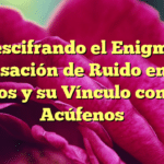Descifrando el Enigma: Sensación de Ruido en los Oídos y su Vínculo con los Acúfenos