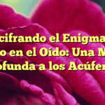 Descifrando el Enigma del Silbido en el Oído: Una Mirada Profunda a los Acúfenos