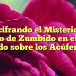 Descifrando el Misterio del Sonido de Zumbido en el Oído: Todo sobre los Acúfenos