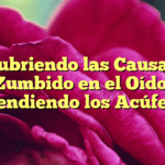 Descubriendo las Causas del Zumbido en el Oído: Entendiendo los Acúfenos