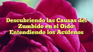 Descubriendo las Causas del Zumbido en el Oído: Entendiendo los Acúfenos