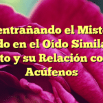 Desentrañando el Misterio: Ruido en el Oído Similar al Viento y su Relación con los Acúfenos