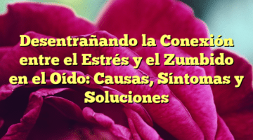 Desentrañando la Conexión entre el Estrés y el Zumbido en el Oído: Causas, Síntomas y Soluciones