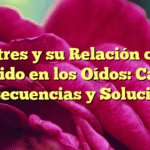 El Estres y su Relación con el Zumbido en los Oídos: Causas, Consecuencias y Soluciones