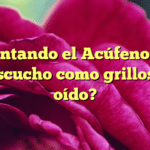 Enfrentando el Acúfeno: ¿Por qué escucho como grillos en el oído?