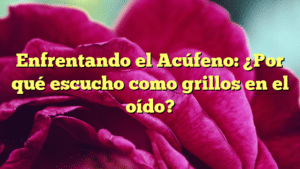 Enfrentando el Acúfeno: ¿Por qué escucho como grillos en el oído?