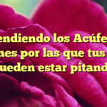 Entendiendo los Acúfenos: Razones por las que tus oídos pueden estar pitando