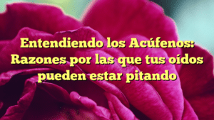 Entendiendo los Acúfenos: Razones por las que tus oídos pueden estar pitando