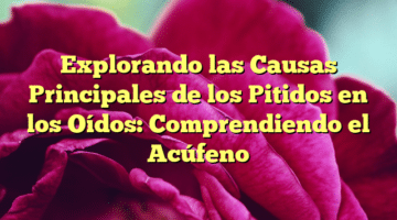 Explorando las Causas Principales de los Pitidos en los Oídos: Comprendiendo el Acúfeno