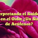 Interpretando el Ruido de Agua en el Oído: ¿Un Síntoma de Acúfenos?