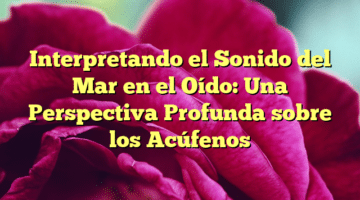 Interpretando el Sonido del Mar en el Oído: Una Perspectiva Profunda sobre los Acúfenos