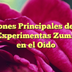 Razones Principales de Por Qué Experimentas Zumbidos en el Oído