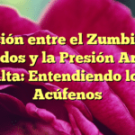 Relación entre el Zumbido en los Oídos y la Presión Arterial Alta: Entendiendo los Acúfenos