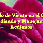 Ruido de Viento en el Oído: Entendiendo y Manejando los Acúfenos