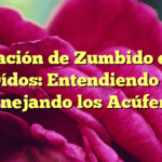 Sensación de Zumbido en los Oídos: Entendiendo y Manejando los Acúfenos