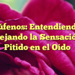 Acúfenos: Entendiendo y Manejando la Sensación de Pitido en el Oído