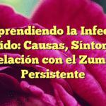 Comprendiendo la Infección del Oído: Causas, Síntomas y la Relación con el Zumbido Persistente