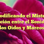Decodificando el Misterio: Relación entre el Sonido en los Oídos y Mareos