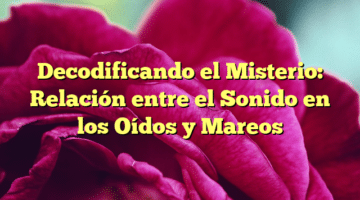 Decodificando el Misterio: Relación entre el Sonido en los Oídos y Mareos