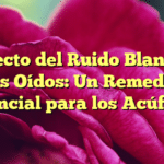 El Efecto del Ruido Blanco en los Oídos: Un Remedio Potencial para los Acúfenos