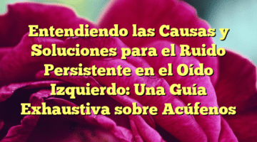 Entendiendo las Causas y Soluciones para el Ruido Persistente en el Oído Izquierdo: Una Guía Exhaustiva sobre Acúfenos