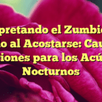 Interpretando el Zumbido en el Oído al Acostarse: Causas y Soluciones para los Acúfenos Nocturnos
